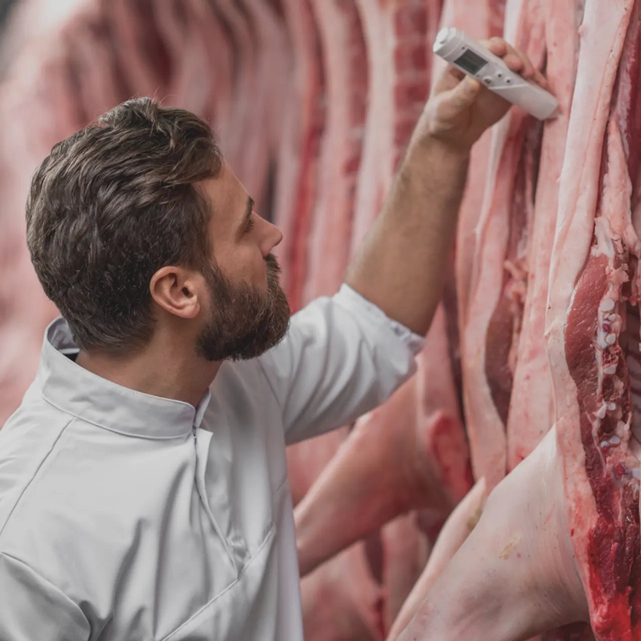 serena-carni-carne-controllo