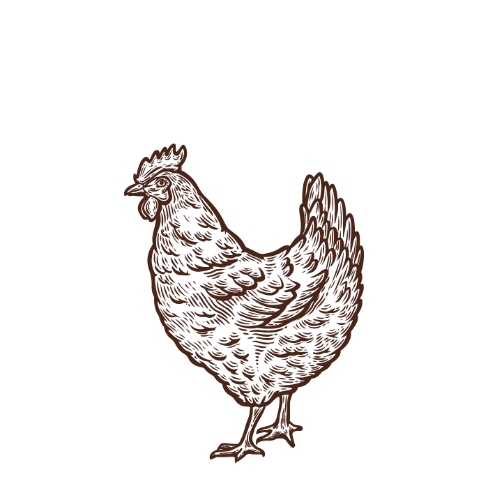 serena-carni-gallina