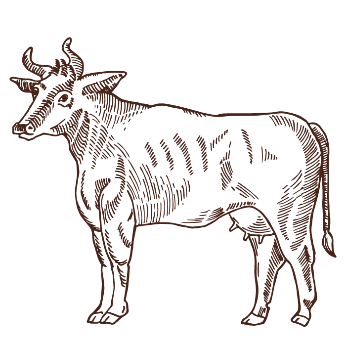 carni bovine carni bovine