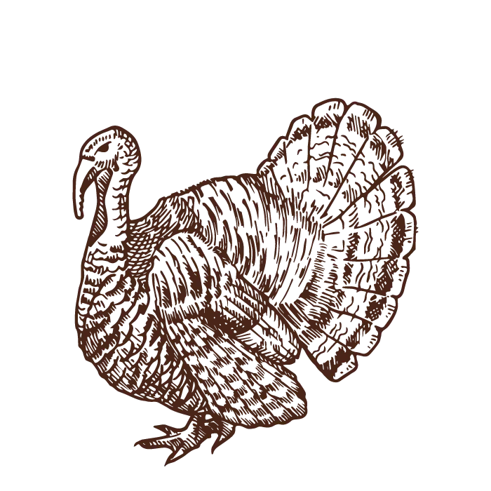 serena-carni-tacchino